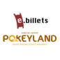 E billet pokeyland pack petit aventurier jusqu a 11 ans