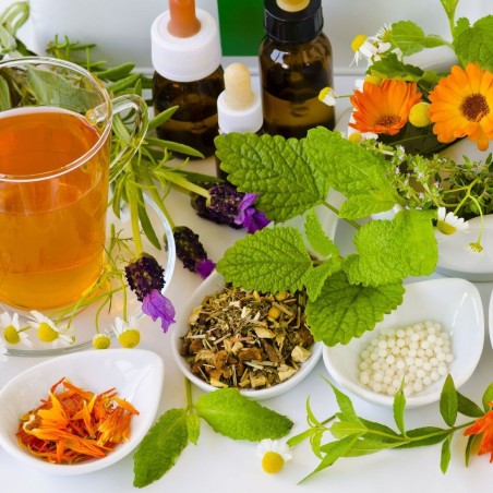 Naturopathe equilibre de vie