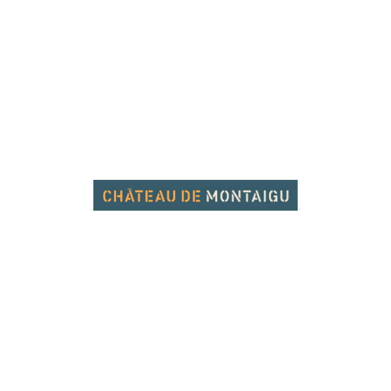 Château de Montaigu