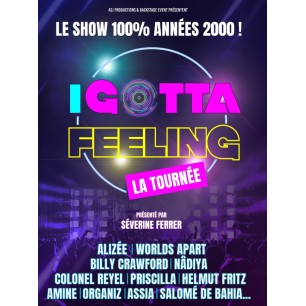 I Gotta Feeling Le concert - 19.09.24 - 20h - cat 1 - Galaxie
