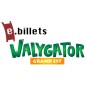 E billet walygator GrandEst- à partir de 4 ans - validité 02.11.2025 
