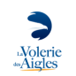 Volerie des aigles adulte - à partir de 15 ans