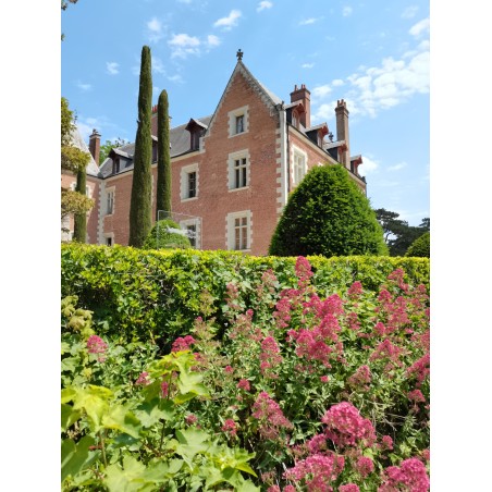 Château du clos luce adulte - à partir de 19 ans - validité 16.04.25