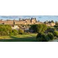 Cité de Carcassonne dès 26 ans