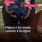 Cité du Vin à partir dès 18 ans