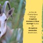 Zoo de champrepus - de 3 à 12 ans - sur commande 15 j de délais