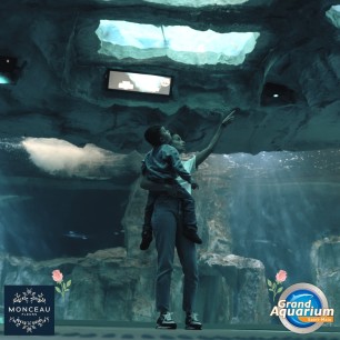 Grand aquarium de st malo - de 4 à 12 ans - sur commande 15 j de déla
