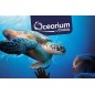 Ocearium du croisic - de 3 à 12 ans - sur commande