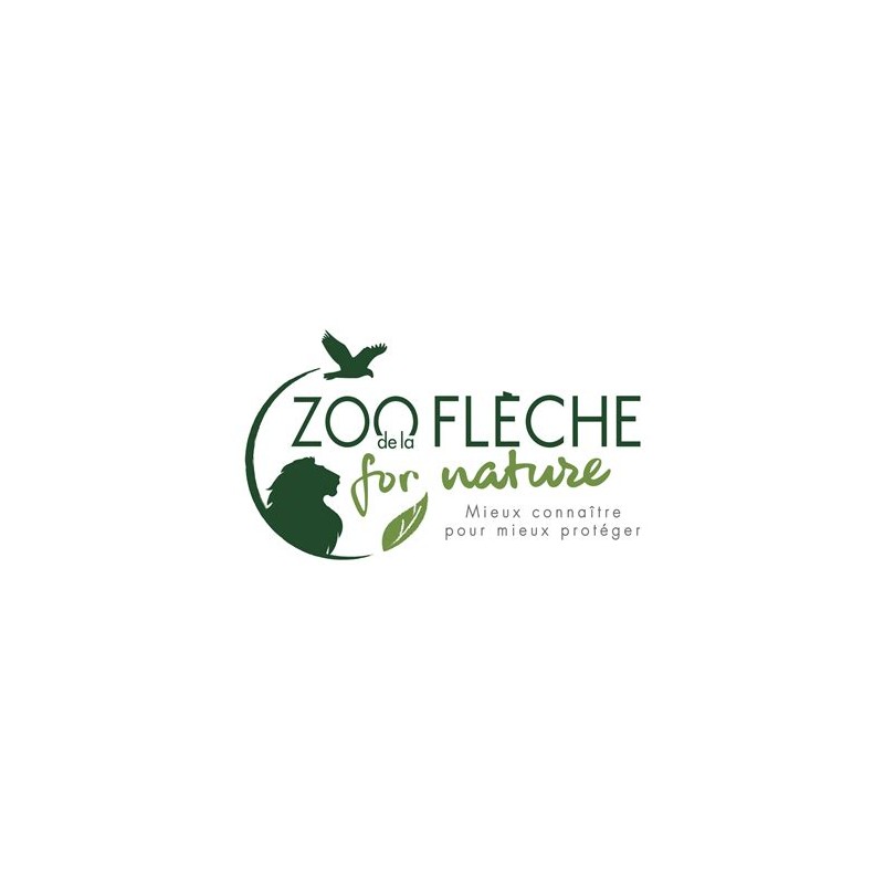 Zoo de la fleche enfant - de 3 à 11 ans