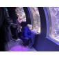 Aquarium de Paris  dès 13 ans