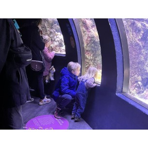 Aquarium de Paris de 3 à 12 ans