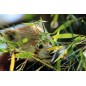 Zoo des Sables d'Olonne de 3 à 10 ans