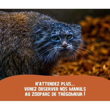 Zoo de Trégomeur de 3 à 12 ans