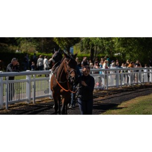 Hippodrome de nancy brabois