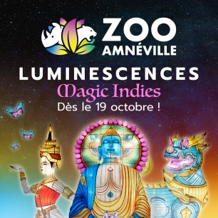 Zoo amneville adulte - à partir de 12 ans