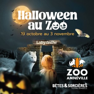 Zoo amneville adulte - à partir de 12 ans