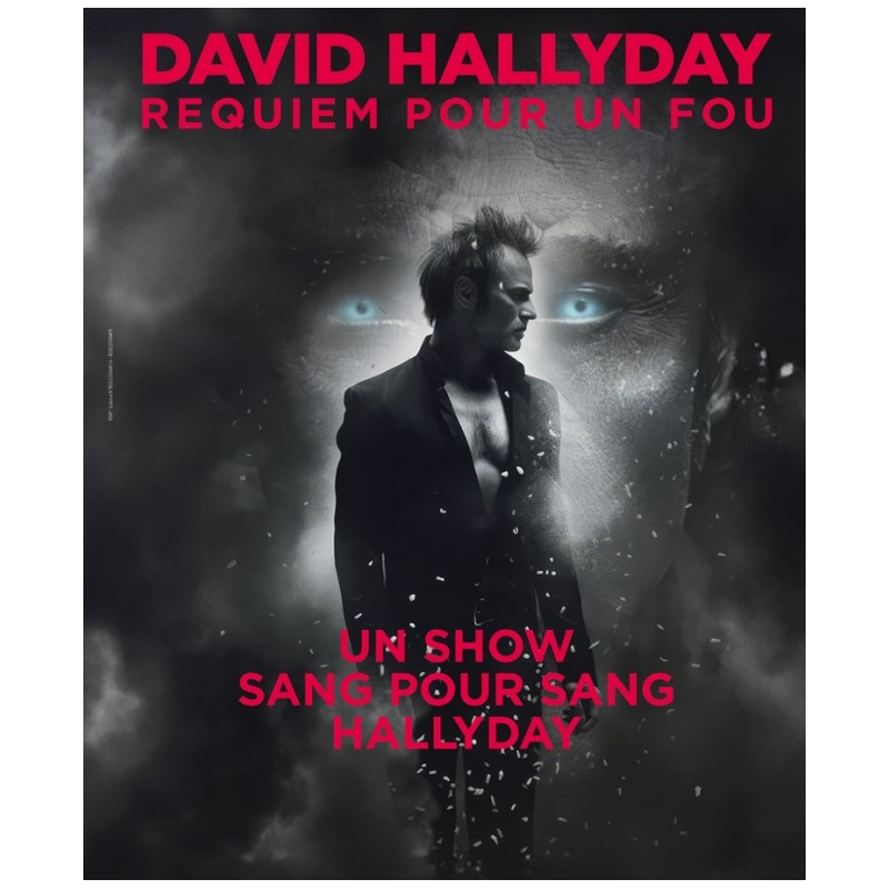 David Hallyday - 20.11.25 - 20h - Carré Or - Arènes Metz