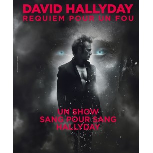David Hallyday - 20.11.25 - 20h - Cat 1 - Arènes Metz