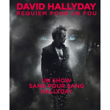 David Hallyday - 20.11.25 - 20h - Cat 1 - Arènes Metz