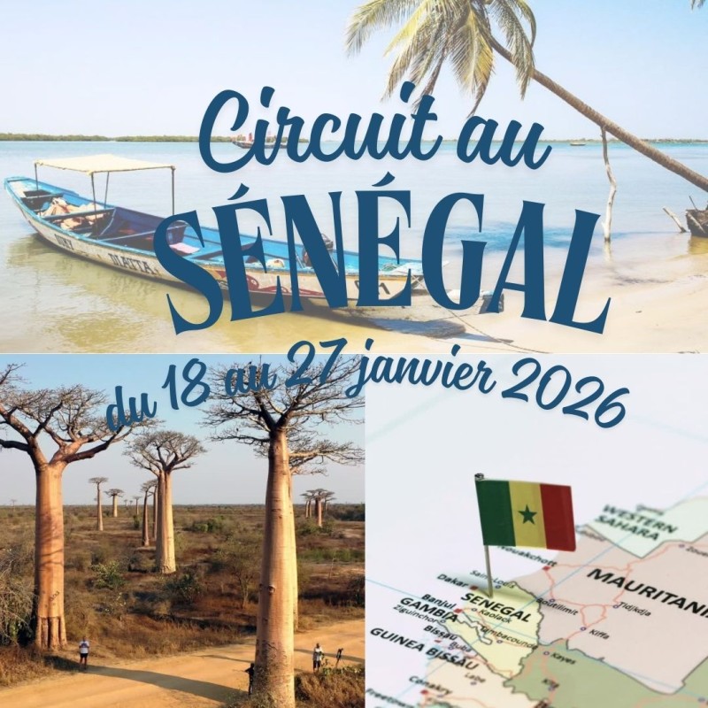 CIRCUIT SENEGAL